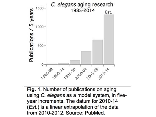 A bar graph displaying the number of C. elegans aging research publications from 1985 to 2014.