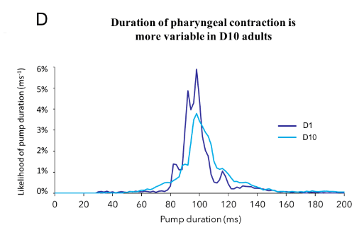 Duration of pharyngeal contraction