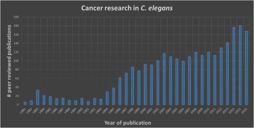 Figure 1: Number of publications using C. elegans a model organism to study cancer mechanisms.<br>Over the last 2 decades, C. elegans has gained recognition as a suitable model to study the genetic, <br>molecular and cellular mechanisms of cancer (data from https://www.ncbi.nlm.nih.gov/pubmed)