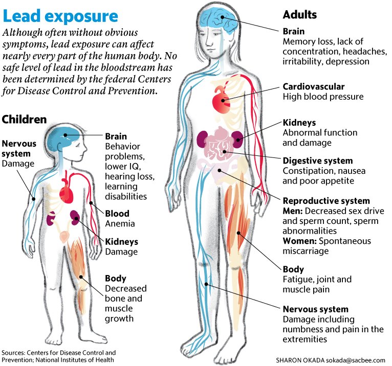 Lead exposure in children and adults