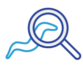 elegans-icon