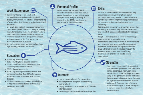 zebrafish cv highlighting important facts and statistics that make the zebrafish an ideal model organism for studying human diseases