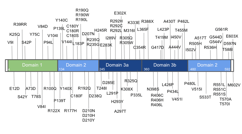 96 Point Mutations in STXBP1