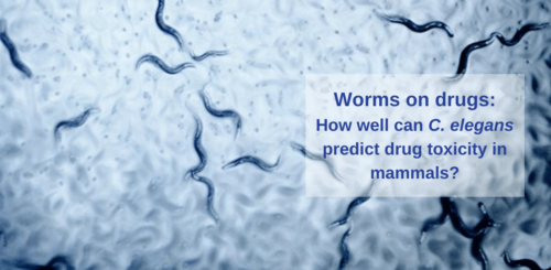 worms on drugs featured image
