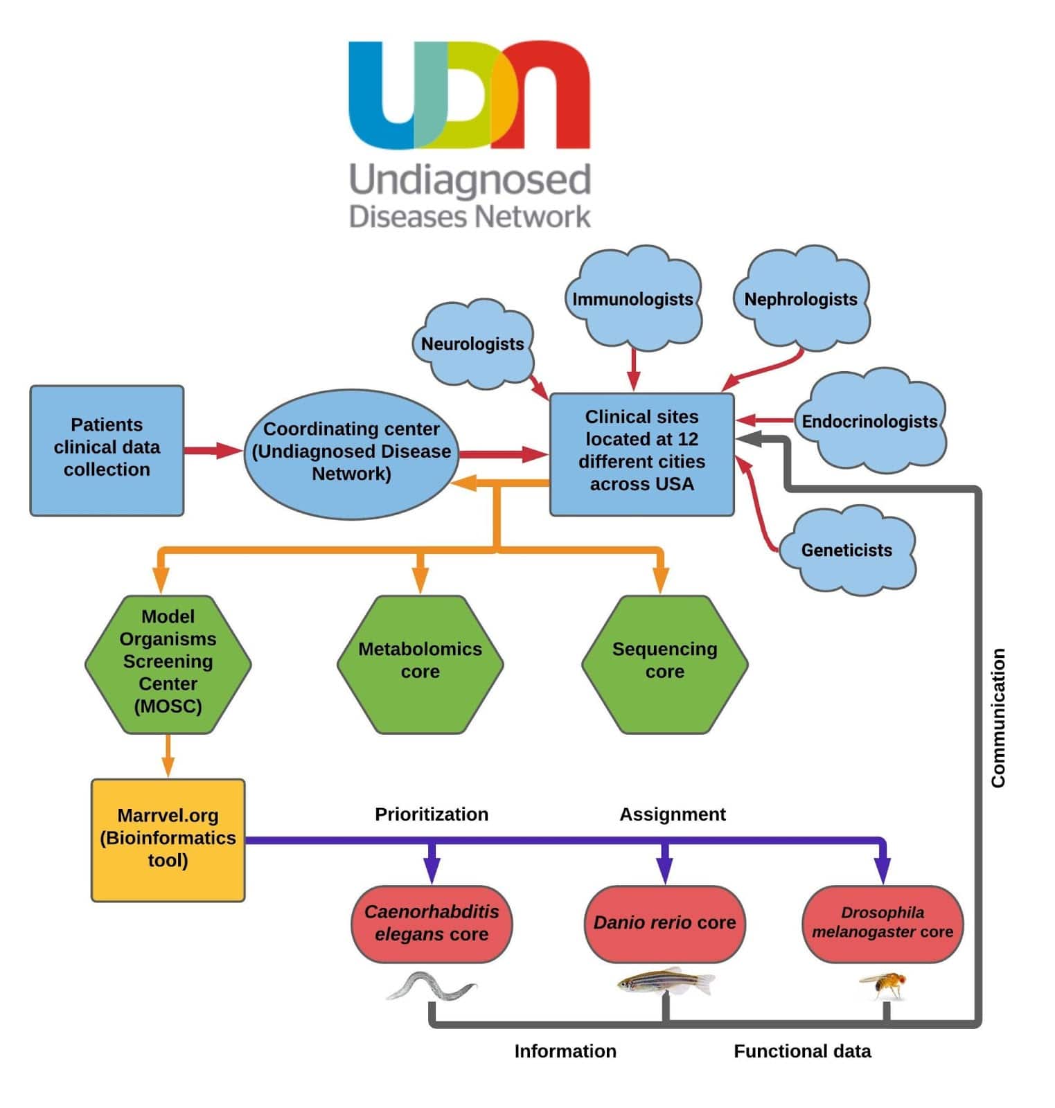 Figure 1: The UDN workflow chart depicting the following steps