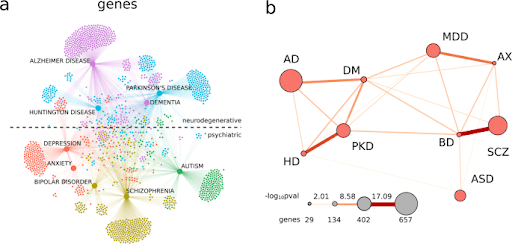 Figure 4. a A knowledge network for genes colored according to Louvain-defined modules-