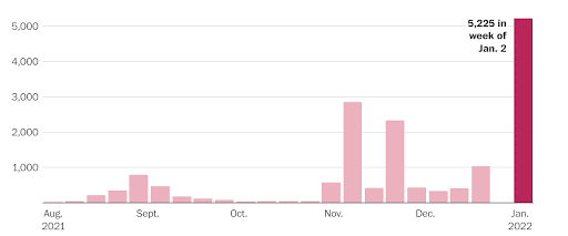 Figure 1. Covid disruptions hit their highest level of the school year —
schools that closed or went virtual for at least part of the week for reasons related to the Covid-19 pandemic (The Washington Post, 2022).
