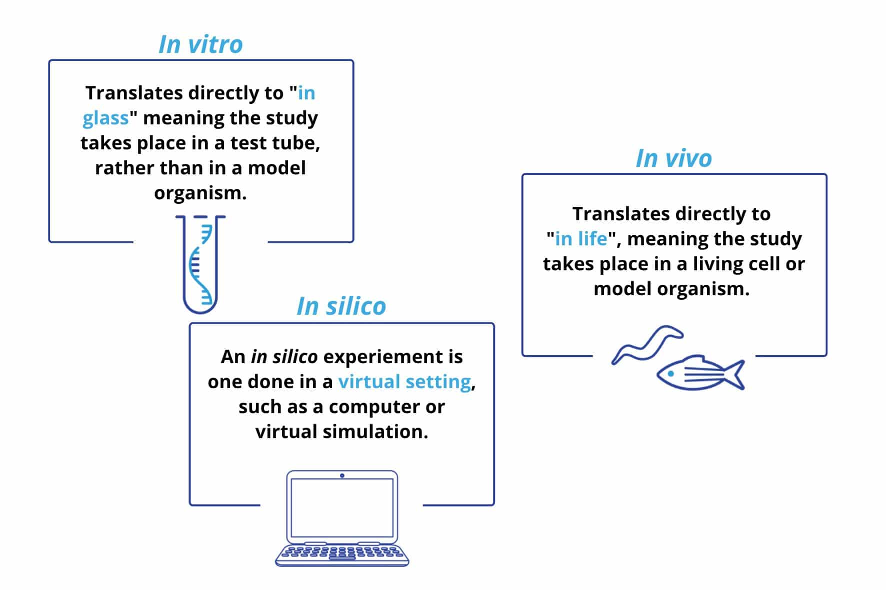 In vitro: translates directly to in glass meaning the study takes place in a test tube, rather than in a model organism