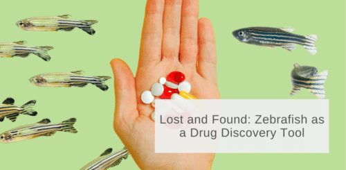 zfish as drug discovery tool feature image
