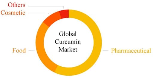 Global curcumin market by application
