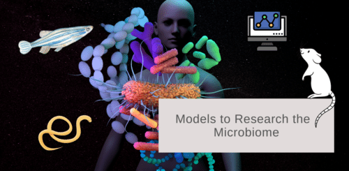 microbiome models feature image