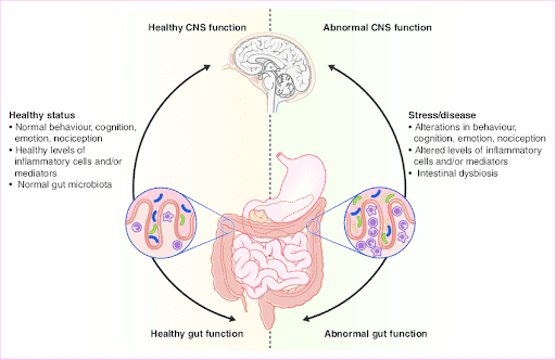 Figure 2. Impact of the gut microbiota on health and disease (Cryan & Dinan, 2012).