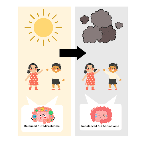 Figure 3. Graphical representation of smog pollution impact on childrens’ gut microbiome composition.