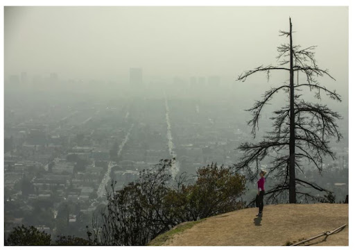 Image 1. Valentina Kostenko of Los Angeles looks at the smog from a trail below the Griffith Observatory (Mel Melcon / Los Angeles Times, 2021)