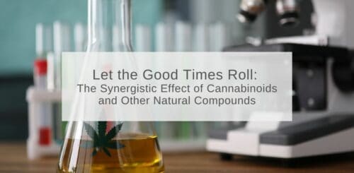 Let the Good Times Roll: The Synergistic Effect of Cannabinoids and other Natural Compounds