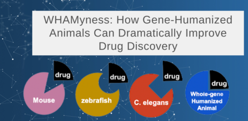 WHAM - humanized animal models for drug discovery