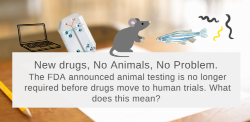No animals, new drugs, no problem
